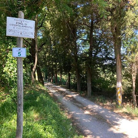 Le Giuncaie - Vigna Con Alloggio มอนเตสกูดาโย ภายนอก รูปภาพ