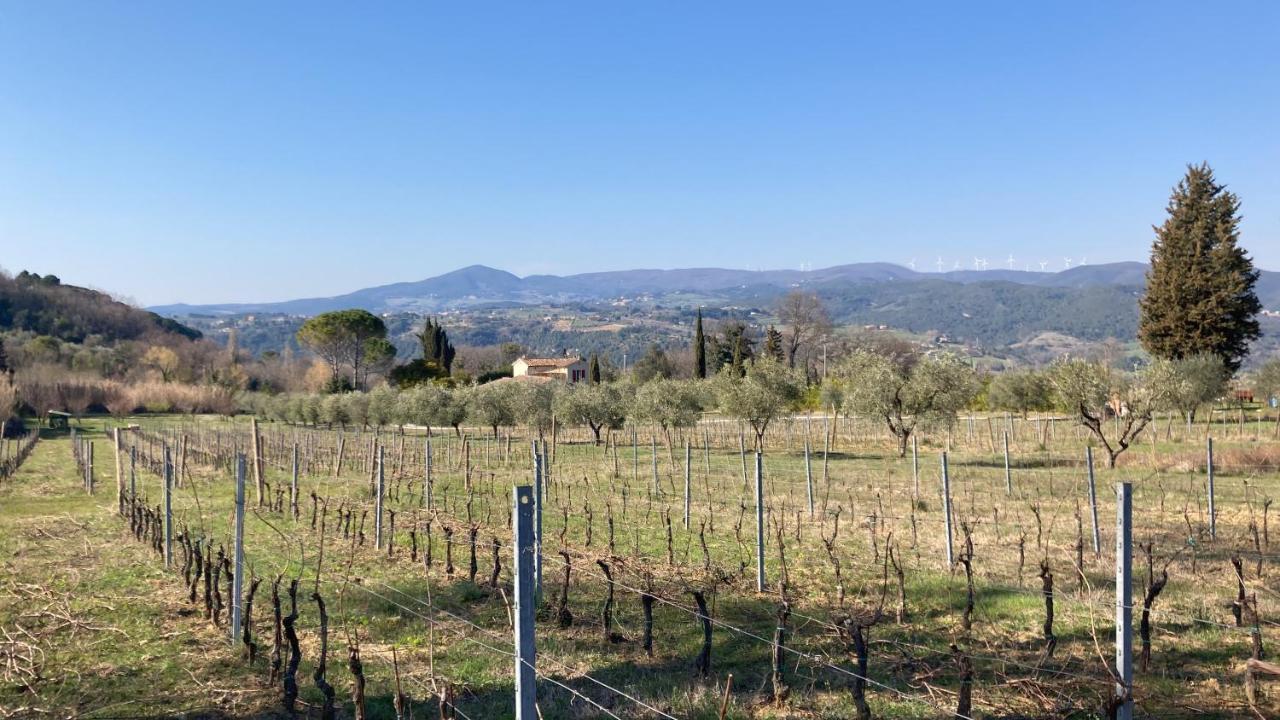 Le Giuncaie - Vigna Con Alloggio มอนเตสกูดาโย ภายนอก รูปภาพ