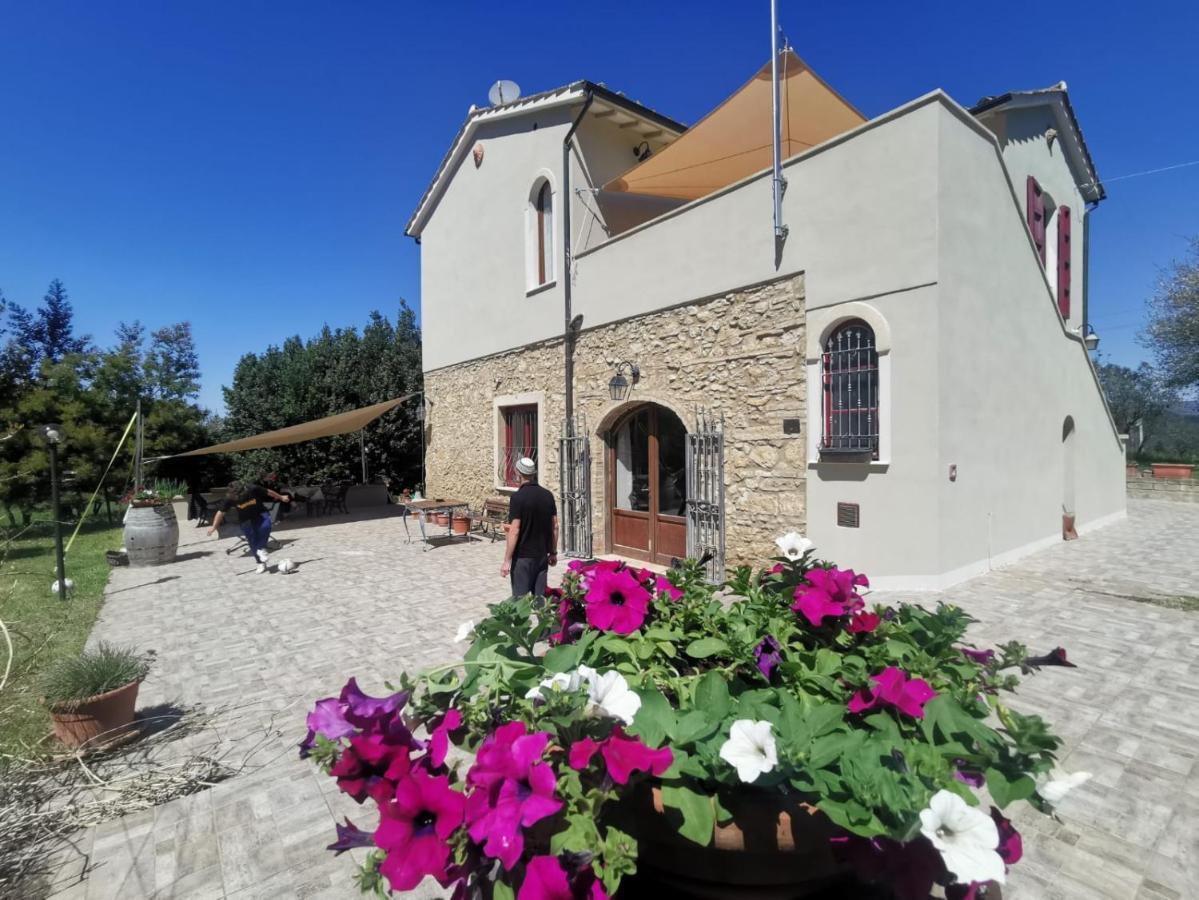 Le Giuncaie - Vigna Con Alloggio มอนเตสกูดาโย ภายนอก รูปภาพ