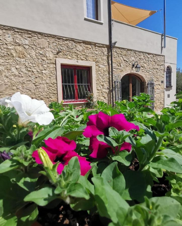Le Giuncaie - Vigna Con Alloggio มอนเตสกูดาโย ภายนอก รูปภาพ
