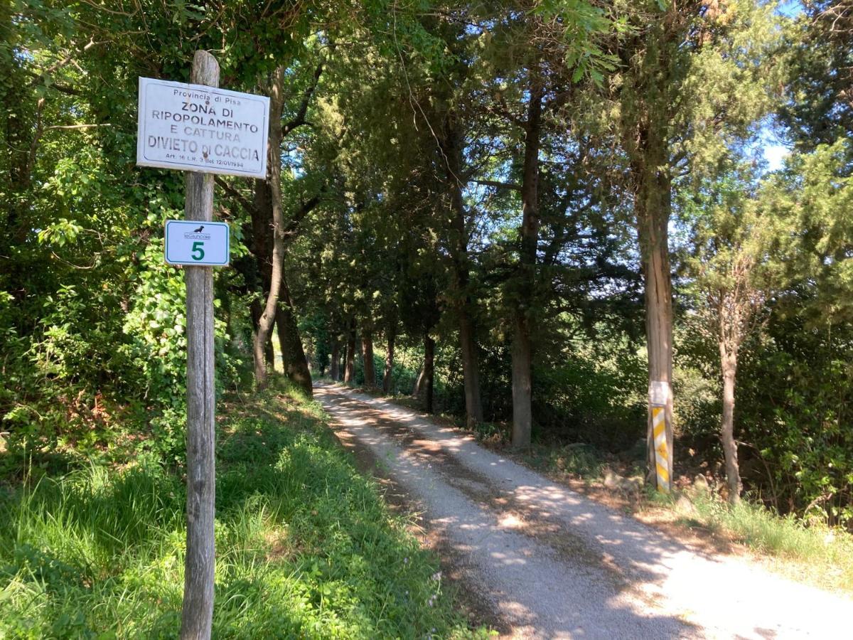Le Giuncaie - Vigna Con Alloggio มอนเตสกูดาโย ภายนอก รูปภาพ
